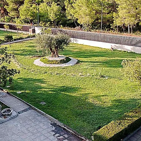 Hotel San Vincenzo 4*